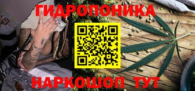 винт Кингисепп
