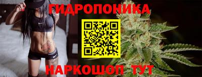 винт Кингисепп