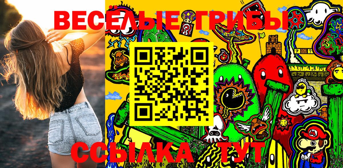 Галлюциногенные грибы GOLDEN TEACHER  Псилоцибиновые грибы Cubensis  Вход с VPN  Кулебаки 